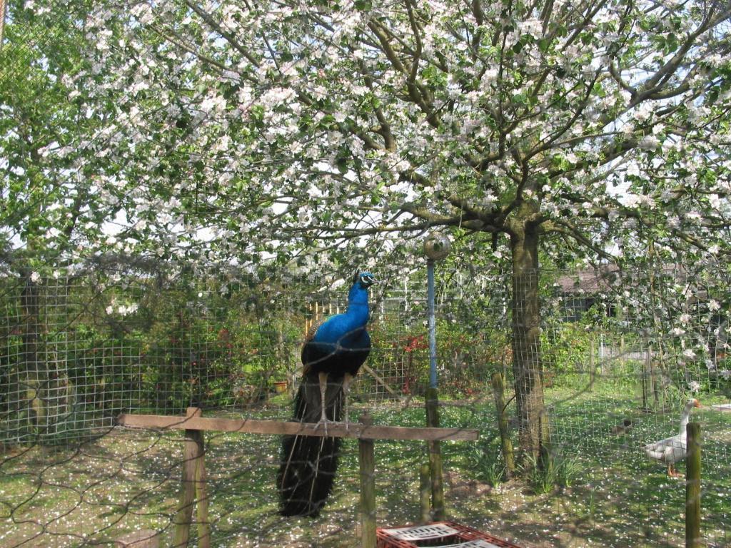 De Hoge Peel Bed & Breakfast Heythuysen Bagian luar foto